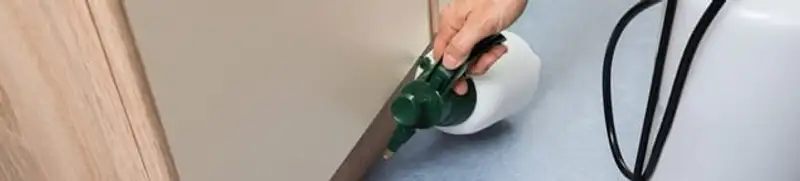 Bed bug exterminator treating baseboards and cracks with targeted spray in Oakland, CA