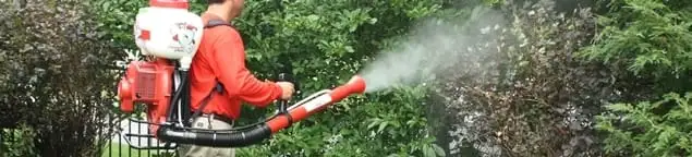 Mosquito control technician fogging shrubs and landscaping for mosquito treatment in Oakland, CA