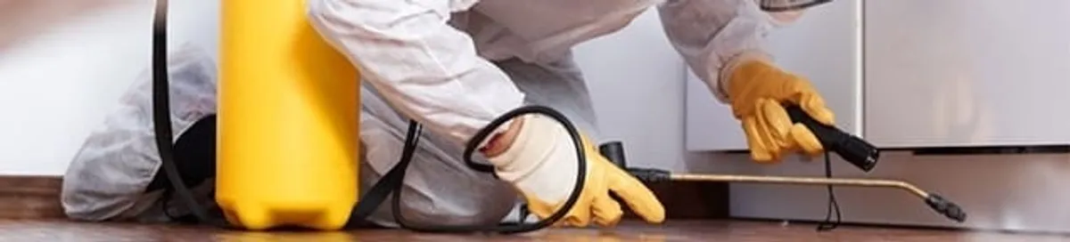 Roach exterminator treating cracks and crevices along kitchen baseboards in Oakland, CA