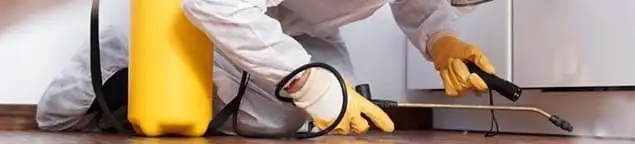 Roach exterminator treating cracks and crevices along kitchen baseboards in Oakland, CA