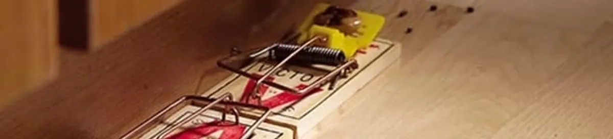 Rodent trap set indoors for rodent control and prevention in Oakland, CA